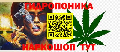 твердый Камышлов