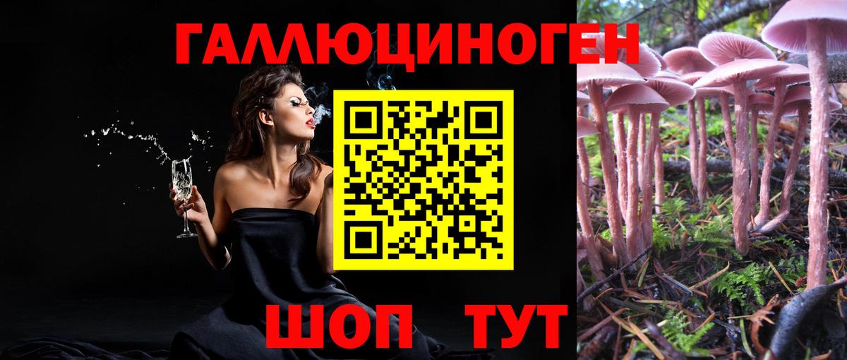 Псилоцибиновые грибы Psilocybe  Вход с VPN  Долгопрудный 